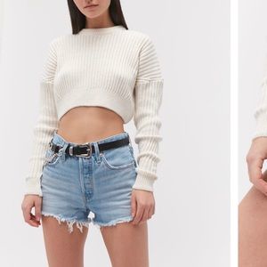 Levi’s NWT Sz 27 501 high waisted shorts